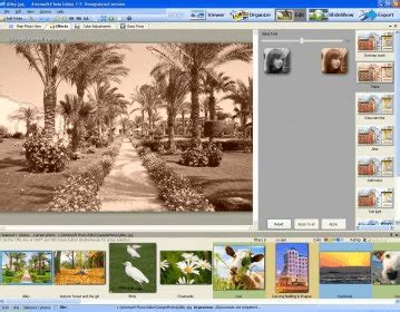 Download Artensoft Photo Editor